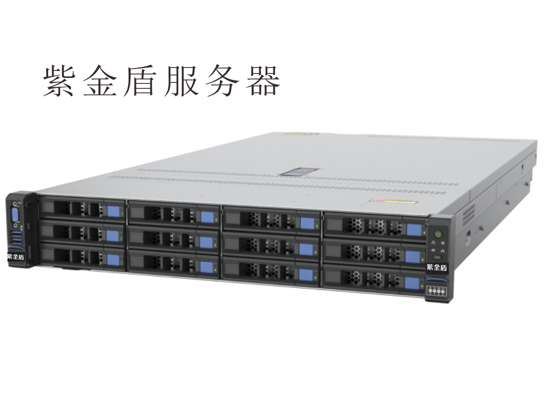 紫金盾CA60V8算力服务器