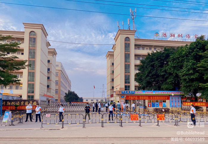 奋发新征程,宏“兔”向未来——记肇庆市高新区鸿翔双语实验学校
